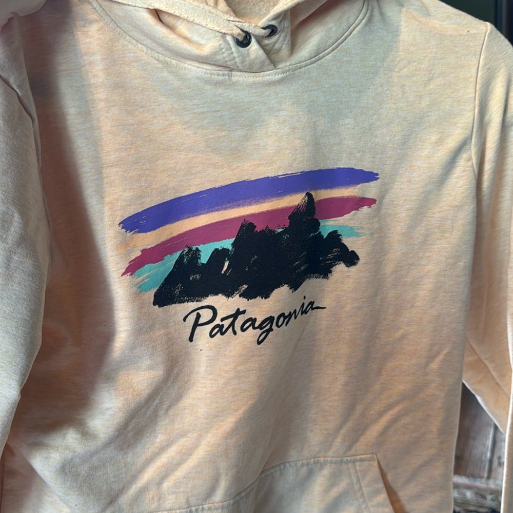 Patagonia Organic Cotton Hoodie Size M